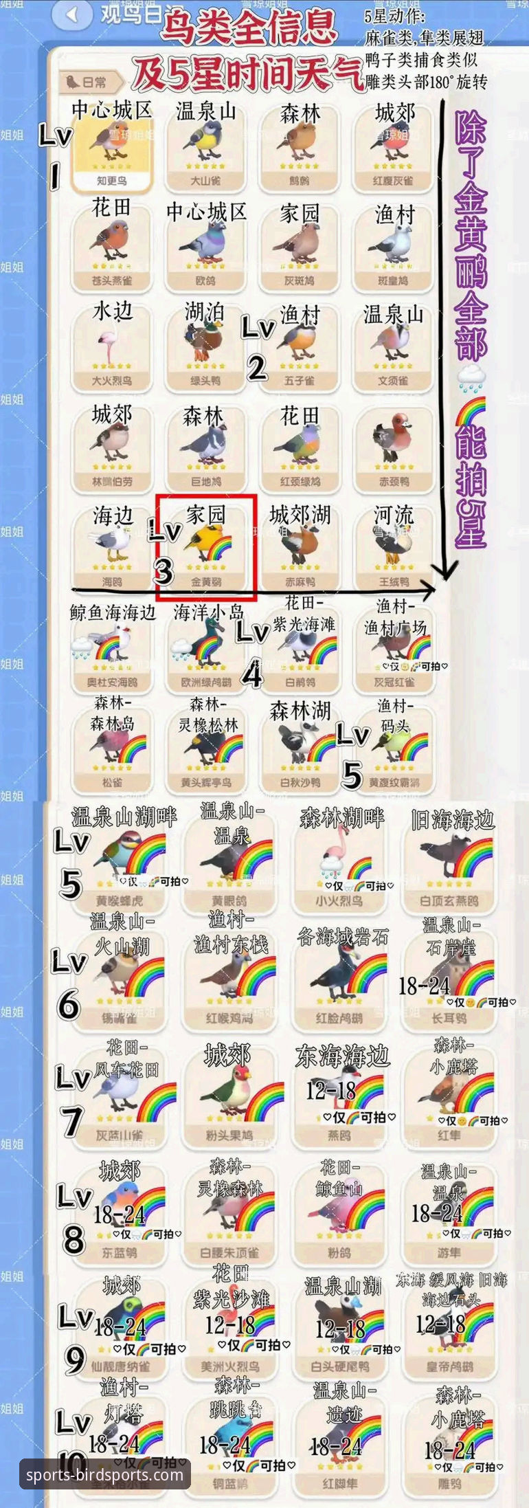 小鸟综合体育平台全方位对比指南：从直播体验到赛事分析的实用评估