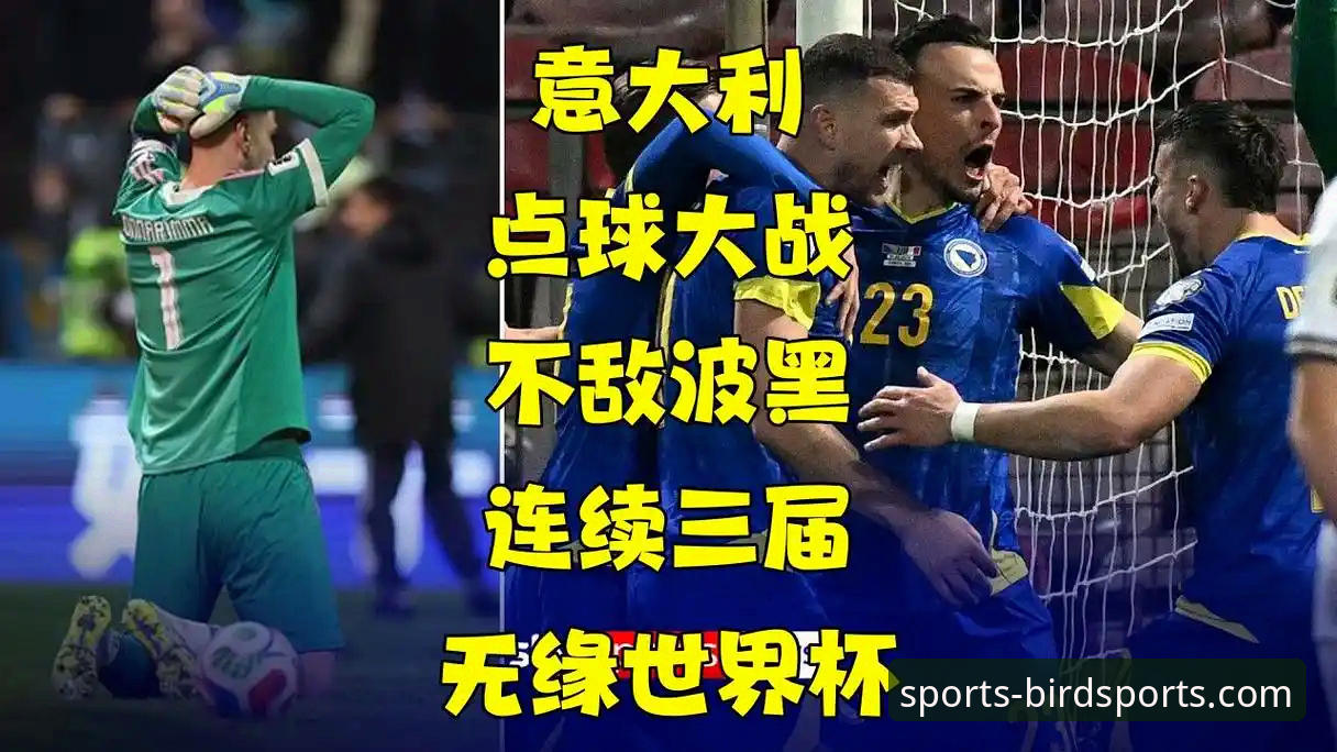 资深用户分享：用小鸟平台数据复盘世预赛经典之战，意大利点球出局背后的深层逻辑