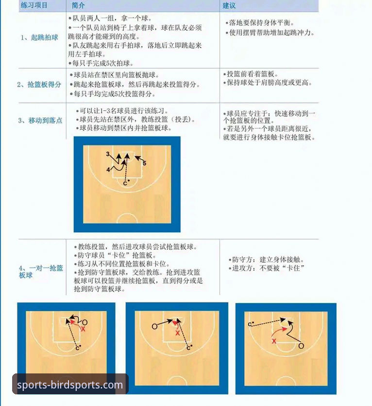 7个关键解答助你掌握小鸟综合体育平台的使用技巧与赛事分析