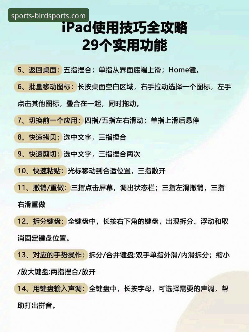 小鸟体育平台合法使用与流畅观赛的实用指南