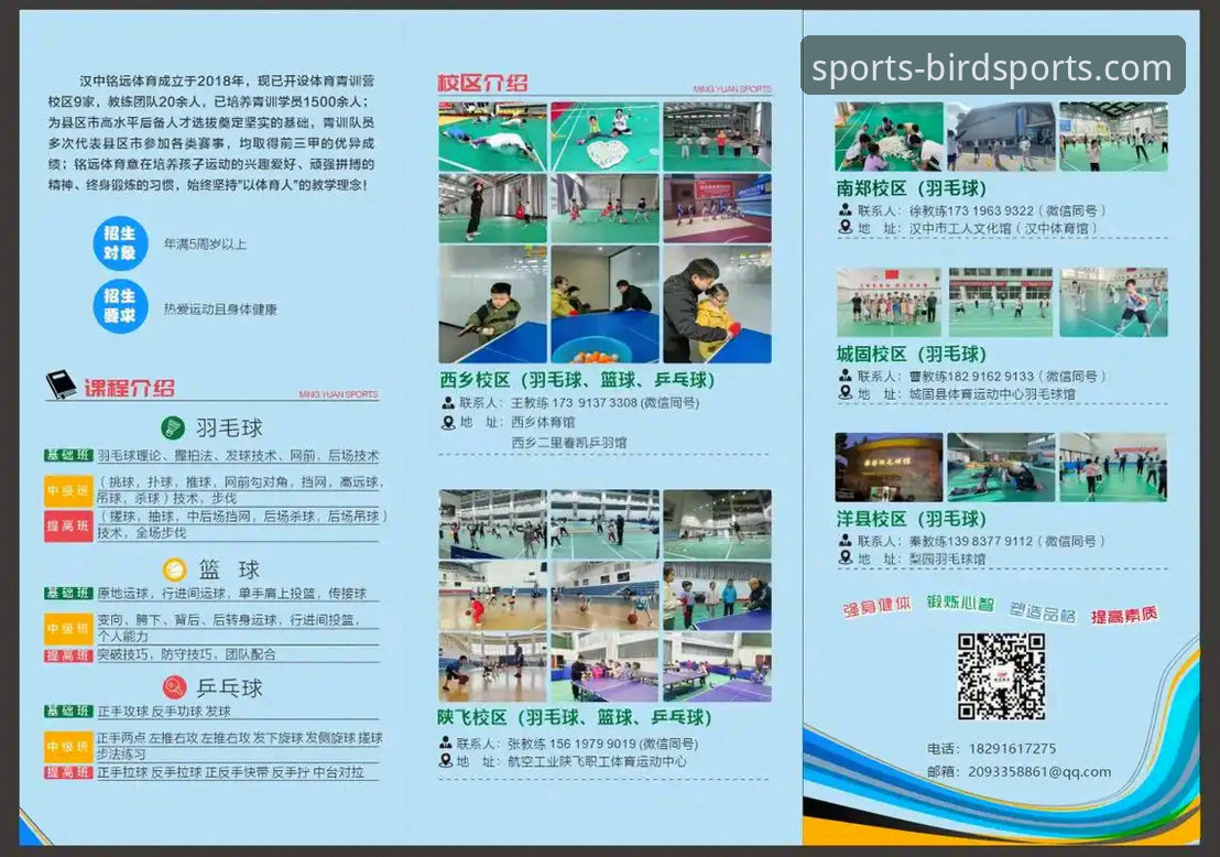 为什么新手选择小鸟综合体育数据统计能更快上手赛事分析？