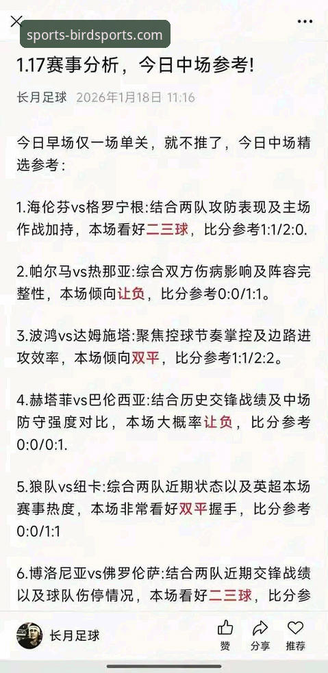 如何通过专业赛事分析平台，深度解读意大利足球的“附加赛魔咒”？